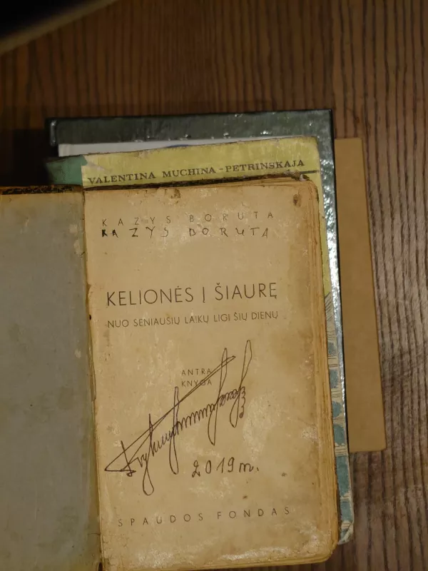 kelionės į šiaurę - Kazys Boruta, knyga 3