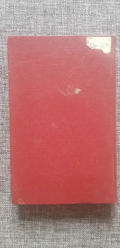 Jaunuolis 1 dalis - Fiodoras Dostojevskis, knyga 3