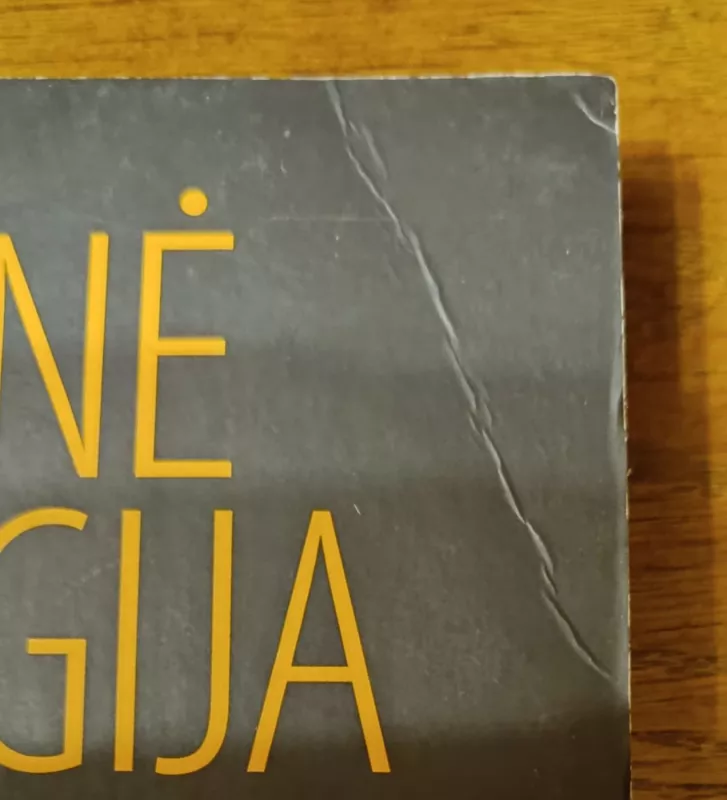 Politinė teologija; Politinė teologija II - Carl Schmitt, knyga 3