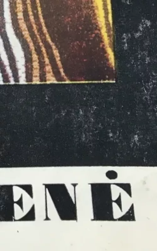 Dalia Mataitienė - Juozas Galkus, knyga 4