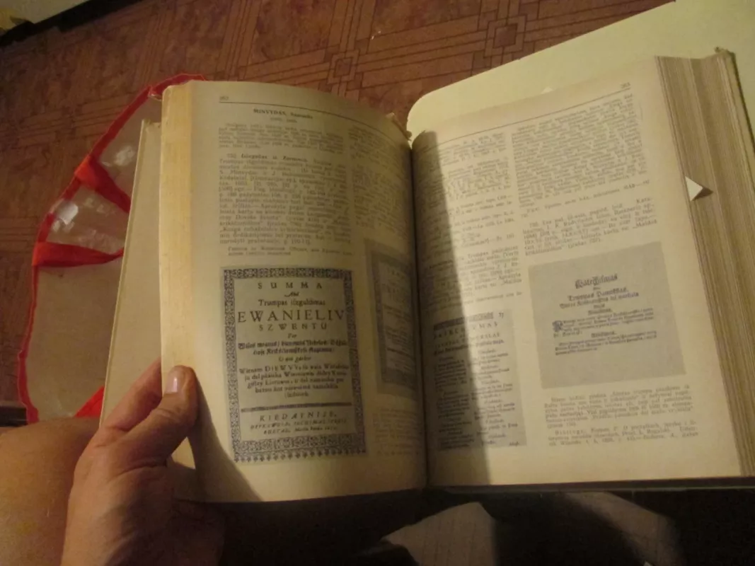 Lietuvos bibliografija 1547-1861: papildymai - A. Daugaravičienė, ir kiti , knyga 5