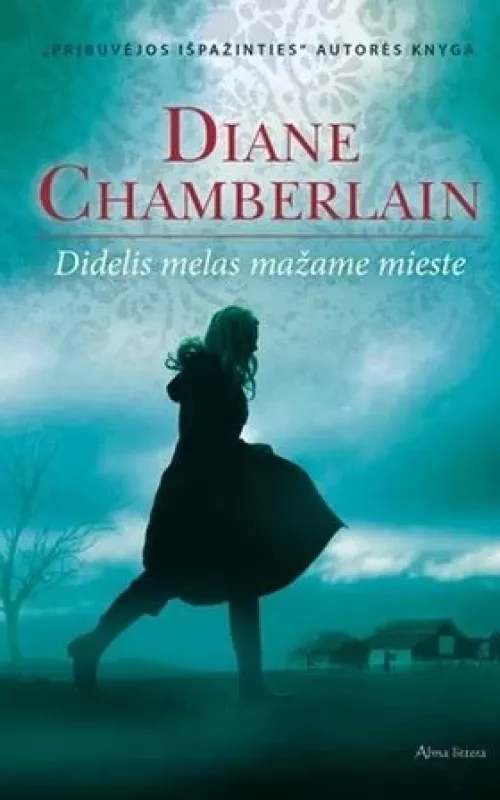 Didelis melas mažame mieste - Diane Chamberlain, knyga 4