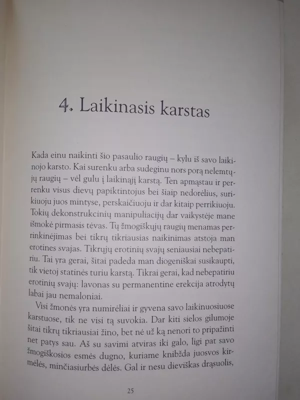 Sun-Tzu gyvenimas šventame Vilniaus mieste - Ričardas Gavelis, knyga 3