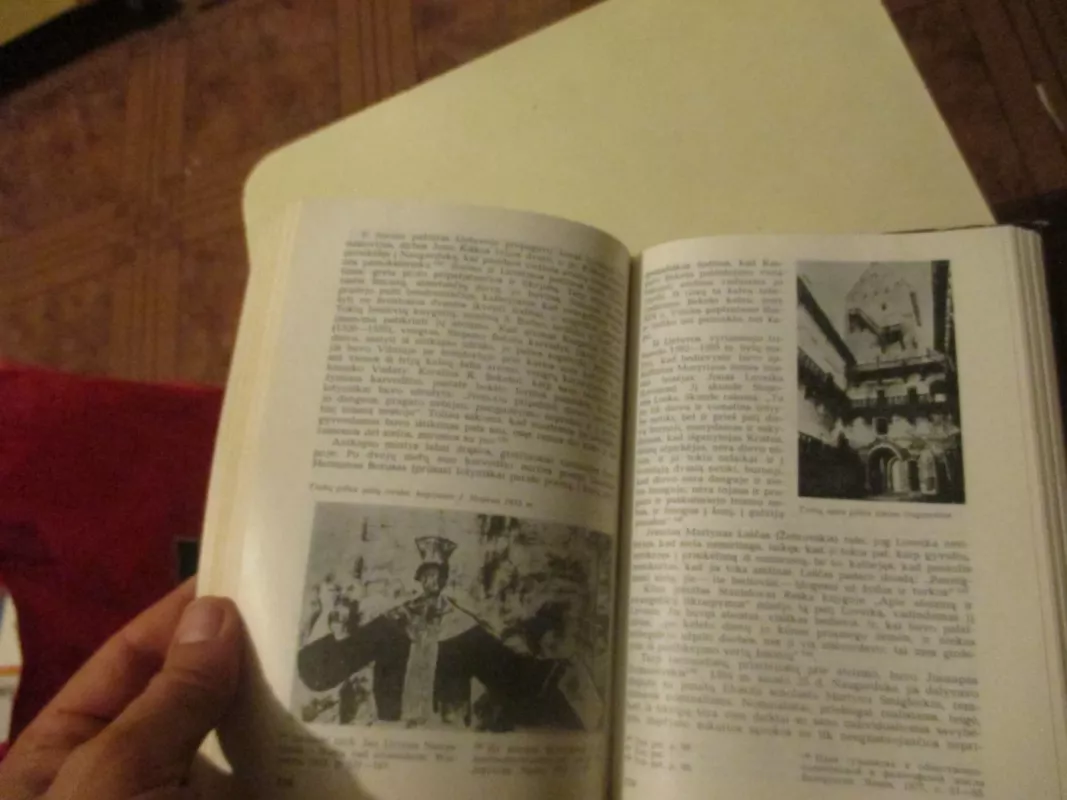 Lietuvos kultūros istorijos bruožai - J. Jurginis, knyga 5