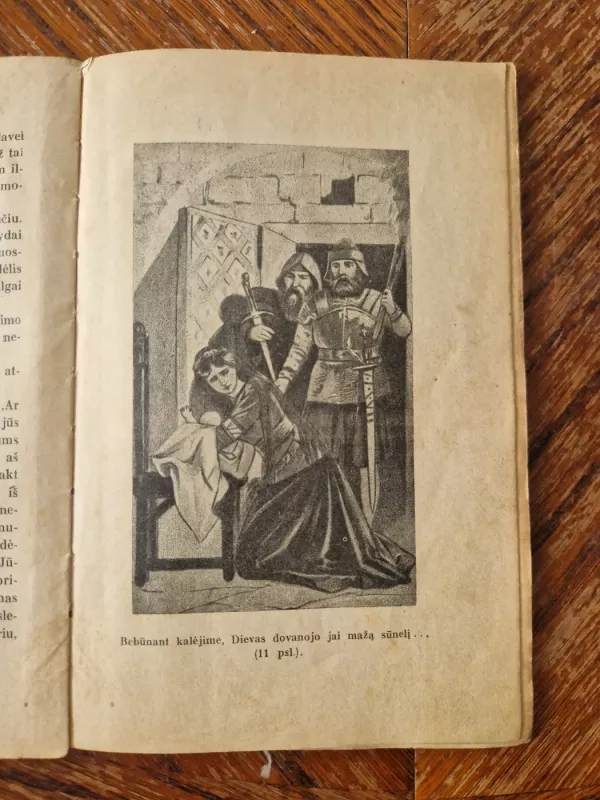 Genovaitė - Kristopas Šmidas, knyga 5