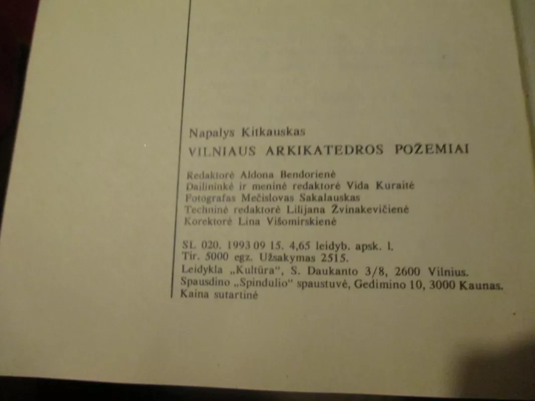 Vilniaus arkikatedros požemiai - Napalys Kitkauskas, knyga 6