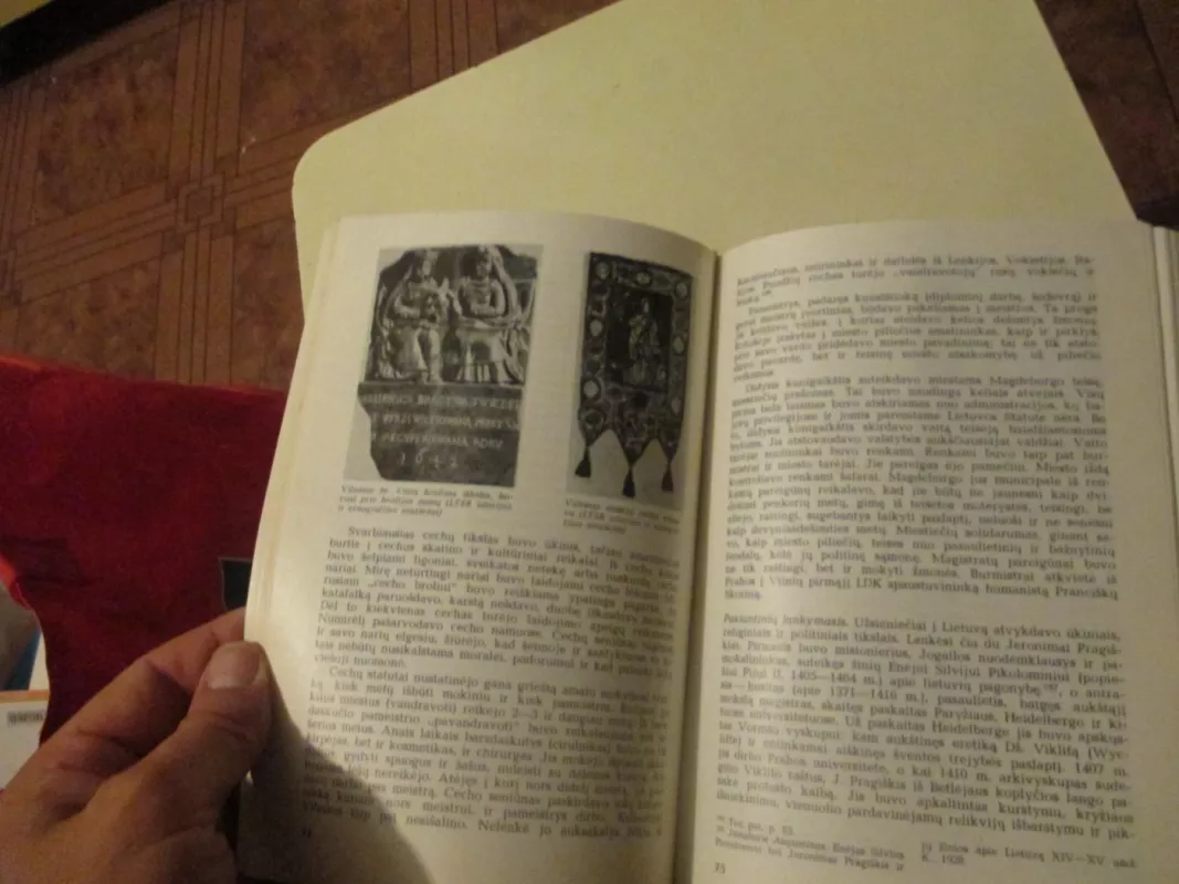 Lietuvos kultūros istorijos bruožai - J. Jurginis, knyga 6