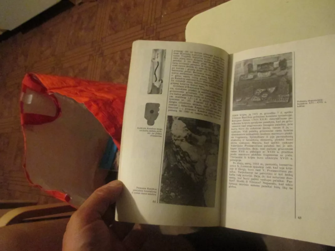 Vilniaus arkikatedros požemiai - Napalys Kitkauskas, knyga 4