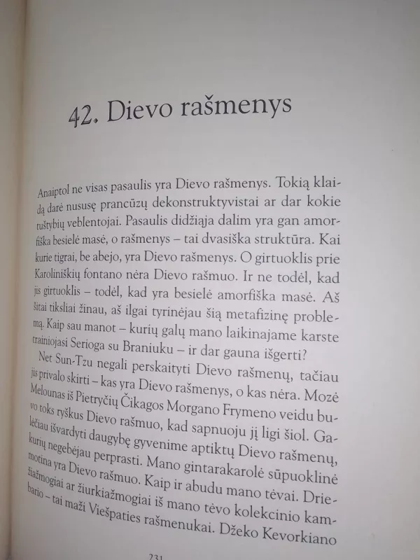 Sun-Tzu gyvenimas šventame Vilniaus mieste - Ričardas Gavelis, knyga 6