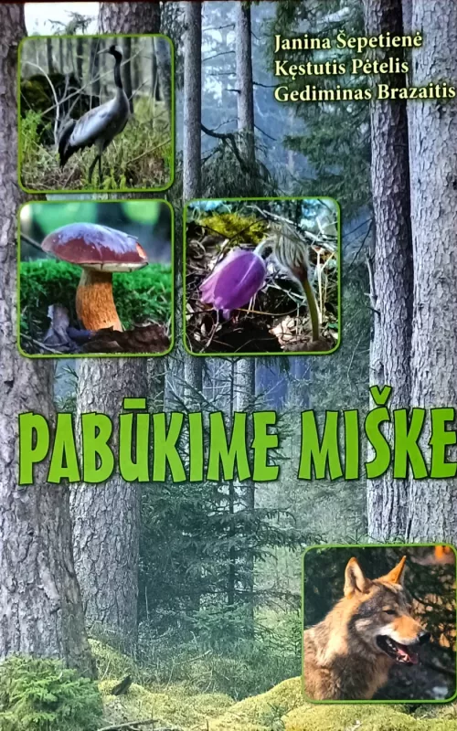 Pabūkime miške - Janina Šepetienė, Kęstutis  Pėtelis, Gediminas  Brazaitis, knyga