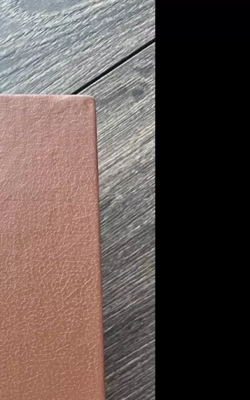 Lietuvos istorija - Adolfas Šapoka, knyga 3