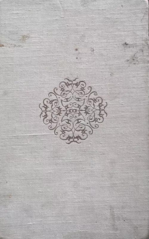 Vieno miesto istorija - M. Saltykovas-Ščedrinas, knyga 2