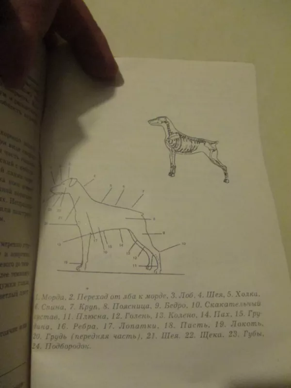 Все о добермане - Ян Ирвен, knyga 6