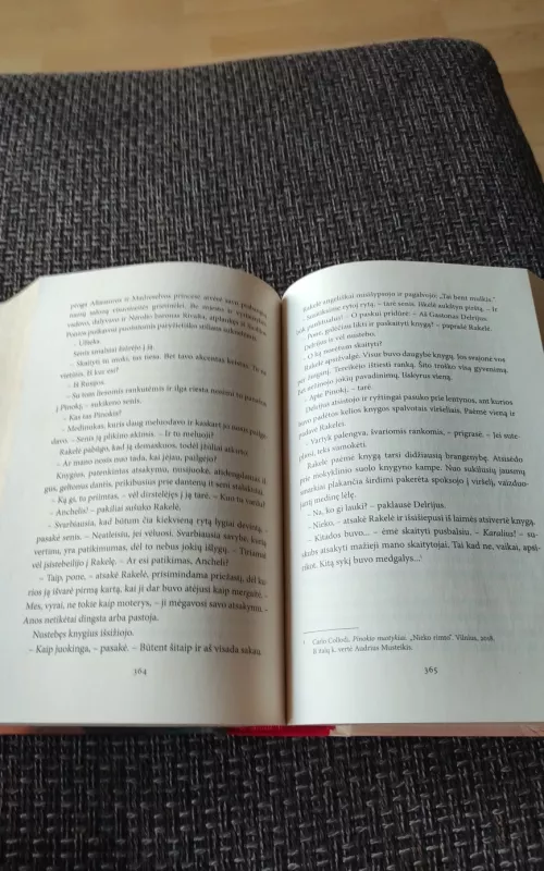 Laisvės dukros - Luca Di Fulvio, knyga 2