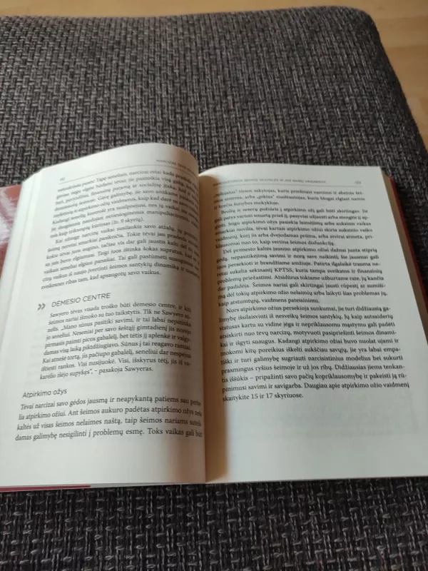 Narcizas tavo gyvenime - Julie L. Hall, knyga 3