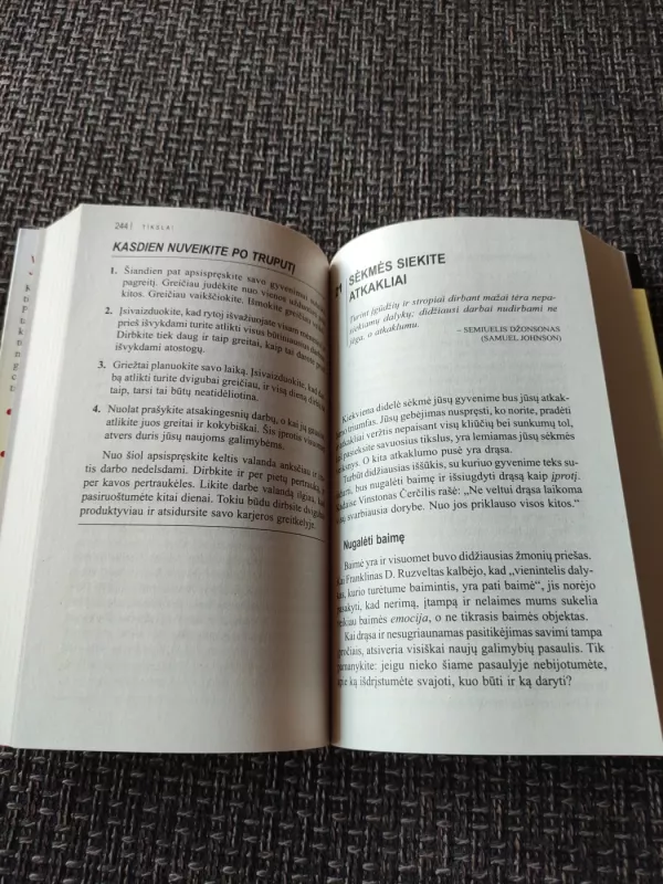 Maksimalus pasiekimas - Brian Tracy, knyga 3