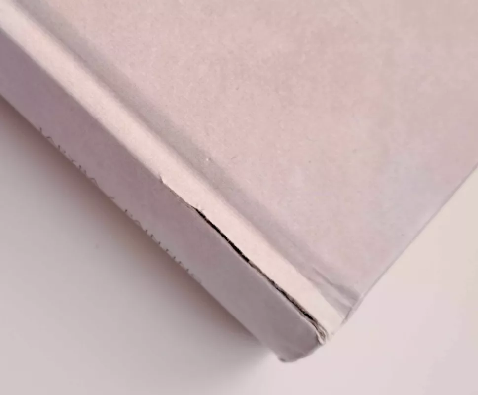 Tapyba/Painting - Jonas Daniliauskas, knyga 3