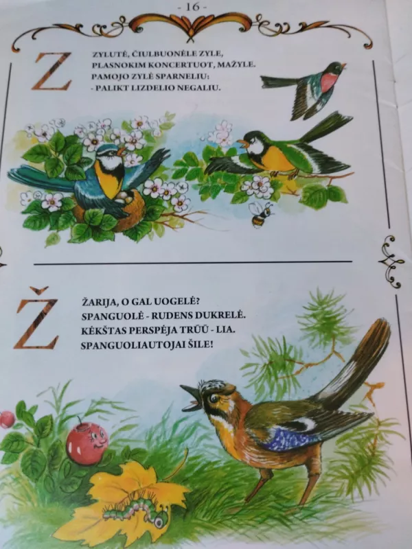 Miško ABC - Zita Gaižauskaitė, knyga 3