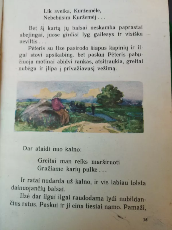 Pilkojo akmens pasakos - E. Birziniekas-Upytis, knyga 3