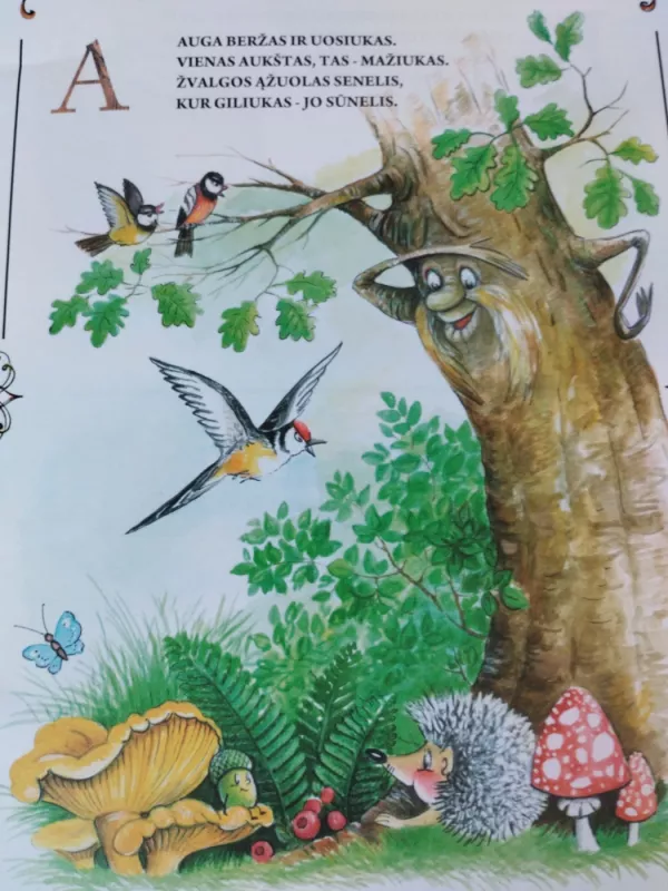 Miško ABC - Zita Gaižauskaitė, knyga 4