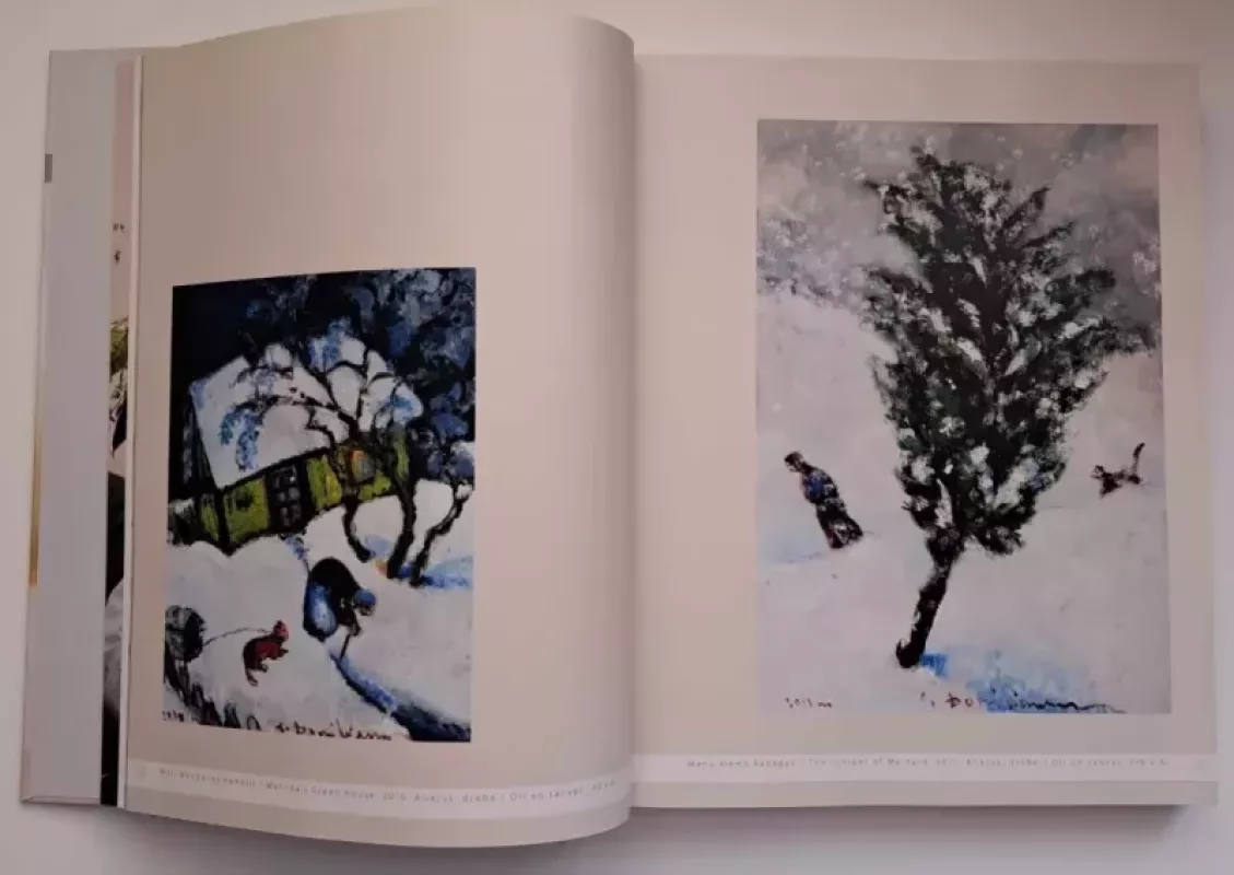 Tapyba/Painting - Jonas Daniliauskas, knyga 5