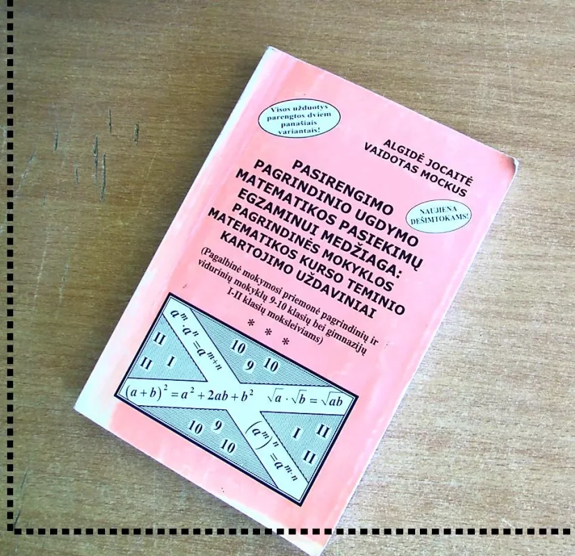 Povilas Višinskis - Adolfas Sprindis, knyga 3