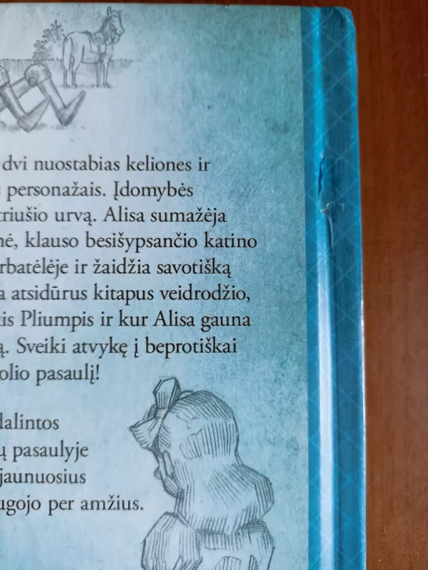 Alisa Stebuklų šalyje ir Veidrodžio karalystėje - Lewis Carroll, knyga 3