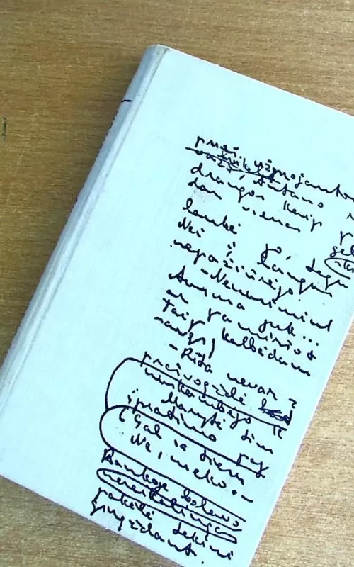 Merginų sekmadienis - Mykolas Sluckis, knyga