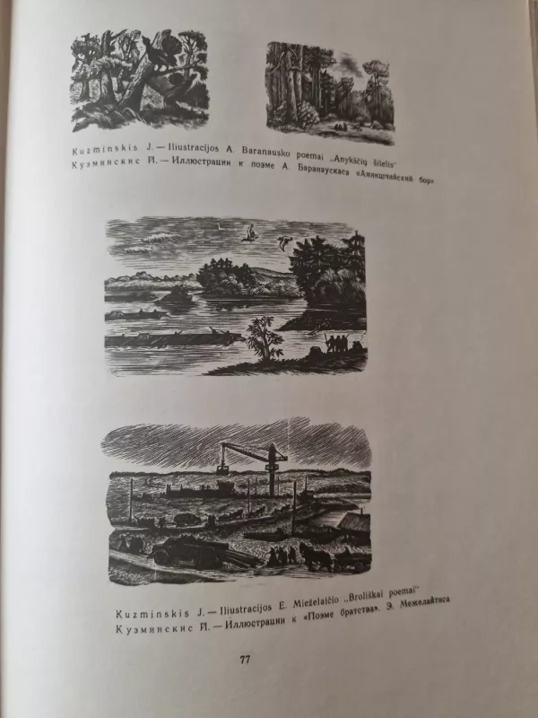 Lietuvių dailė - Autorių Kolektyvas, knyga 5