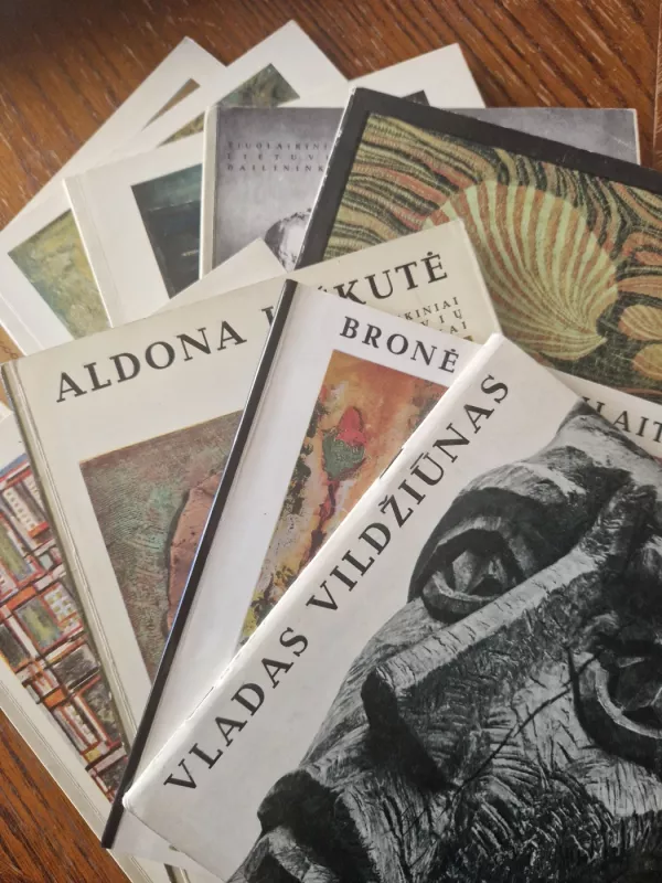 Šiuolaikiniai lietuvių dailininkai 9ios knygos - Autorių Kolektyvas, knyga 4