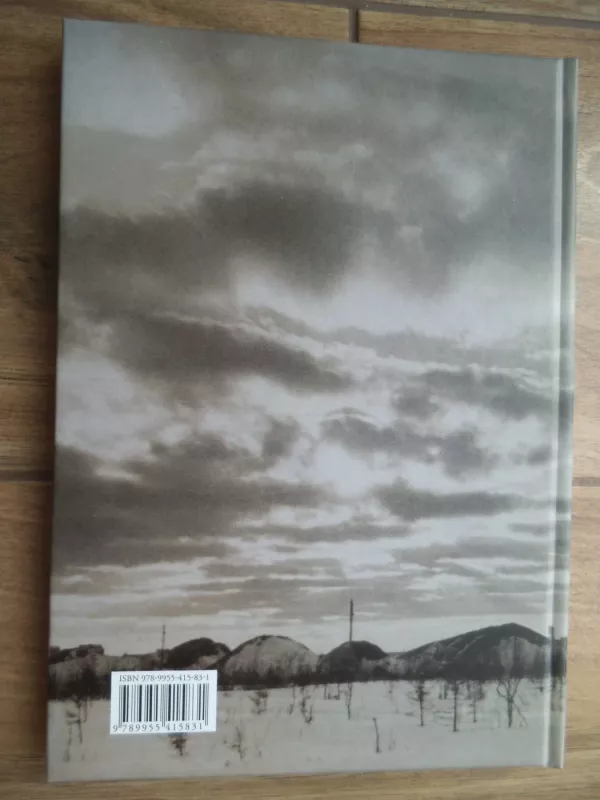 Mano kryžiaus kelio atkarpa - Jonė Sofija Budrytė, knyga 4