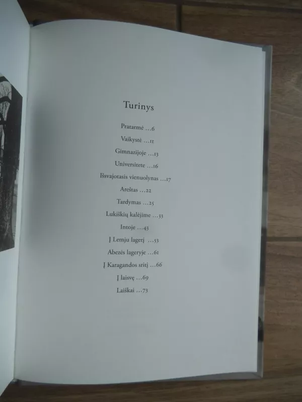 Mano kryžiaus kelio atkarpa - Jonė Sofija Budrytė, knyga 3