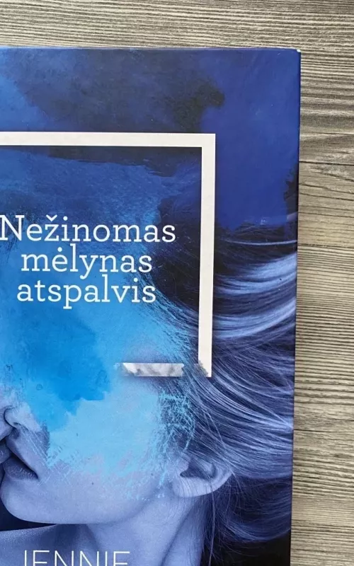 Nežinomas mėlynas atspalvis - Jennie Erdal, knyga 2