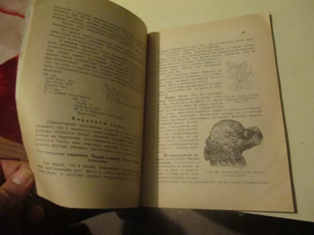 Болезни собак Наружные болезни - Г. Мюллер, knyga 3