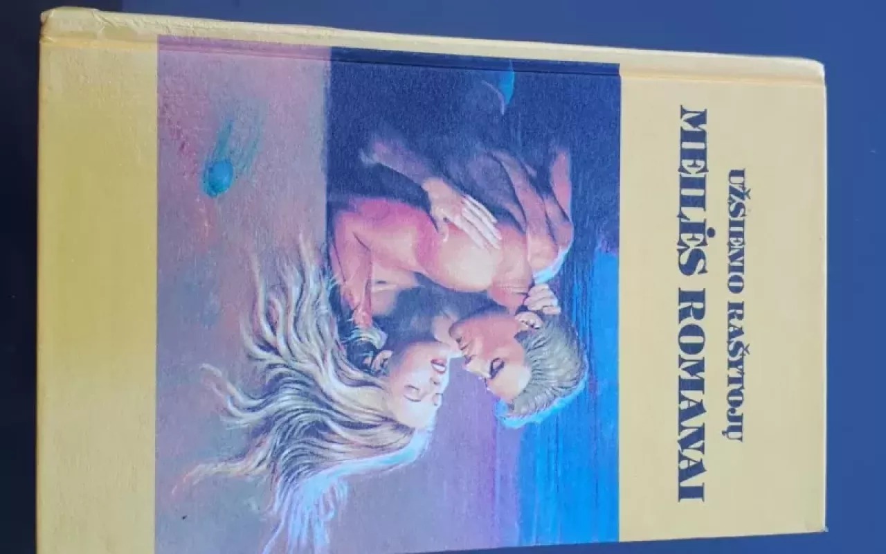 Blėstančios šlovės riteris. Kaltės jausmas - Anė Meidžer, Sjuzena  Nepjer, knyga 3