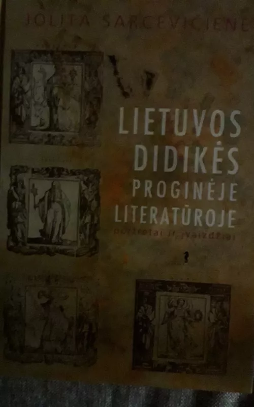 Lietuvos didikės proginėje literatūroje: portretai ir įvaizdžiai - Jolita Sarcevičienė, knyga