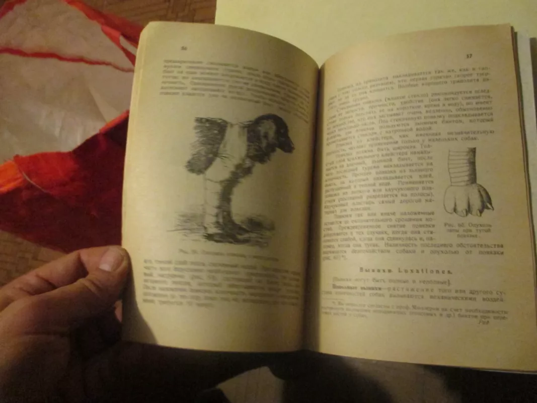 Болезни собак Наружные болезни - Г. Мюллер, knyga 4