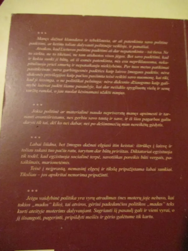 Išsivadavimo kaina. Politikos užkulisiai - Kazimiera Prunskienė, knyga 5