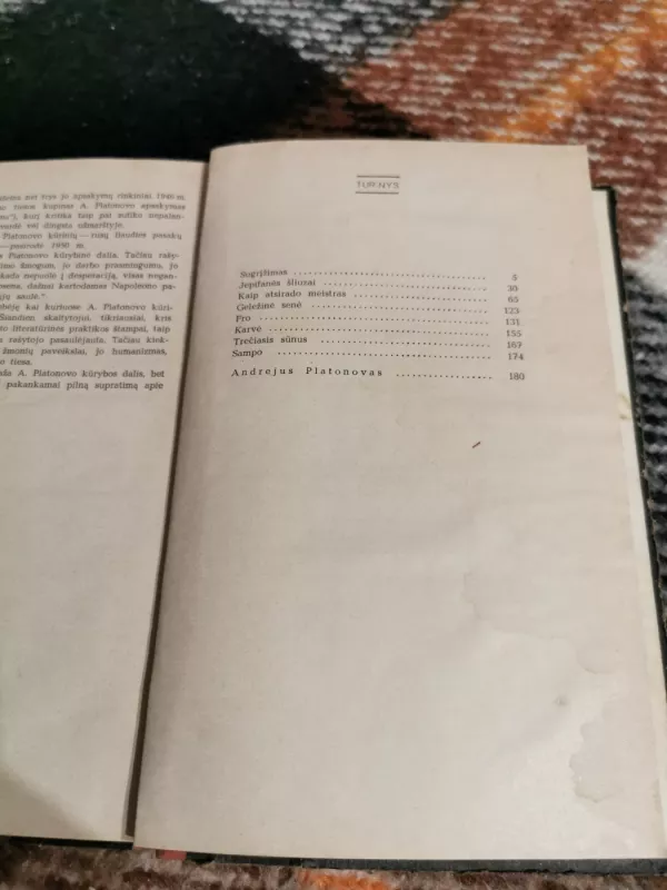 Sugrįžimas - Andrejus Platonovas, knyga 5