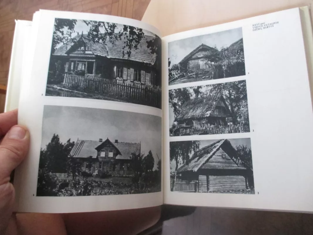 Lietuvos valstiečių gyvenvietės ir sodybos - I. Butkevičius, knyga 5