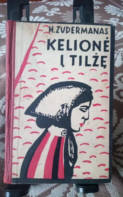 Kelionė į Tilžę - H. Zudermanas, knyga 2