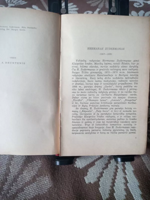 Kelionė į Tilžę - H. Zudermanas, knyga 4