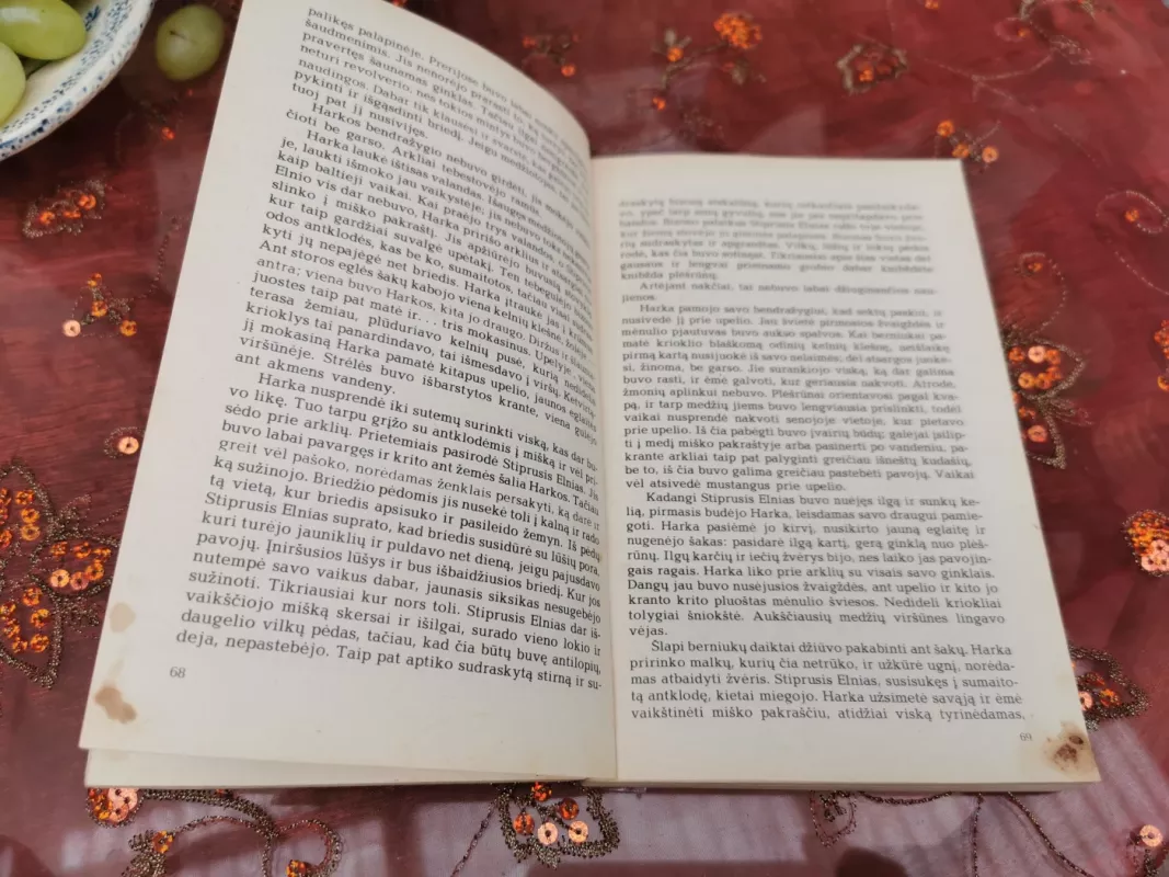 Didžiosios lokės sūnus - Lizelotė Velskopf-Henrich, knyga 4