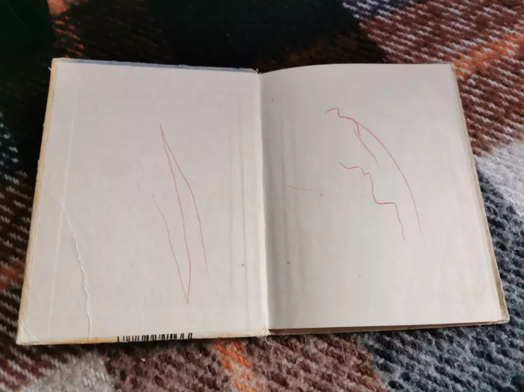 Čiukas ir Gekas - Arkadijus Gaidaras, knyga 3