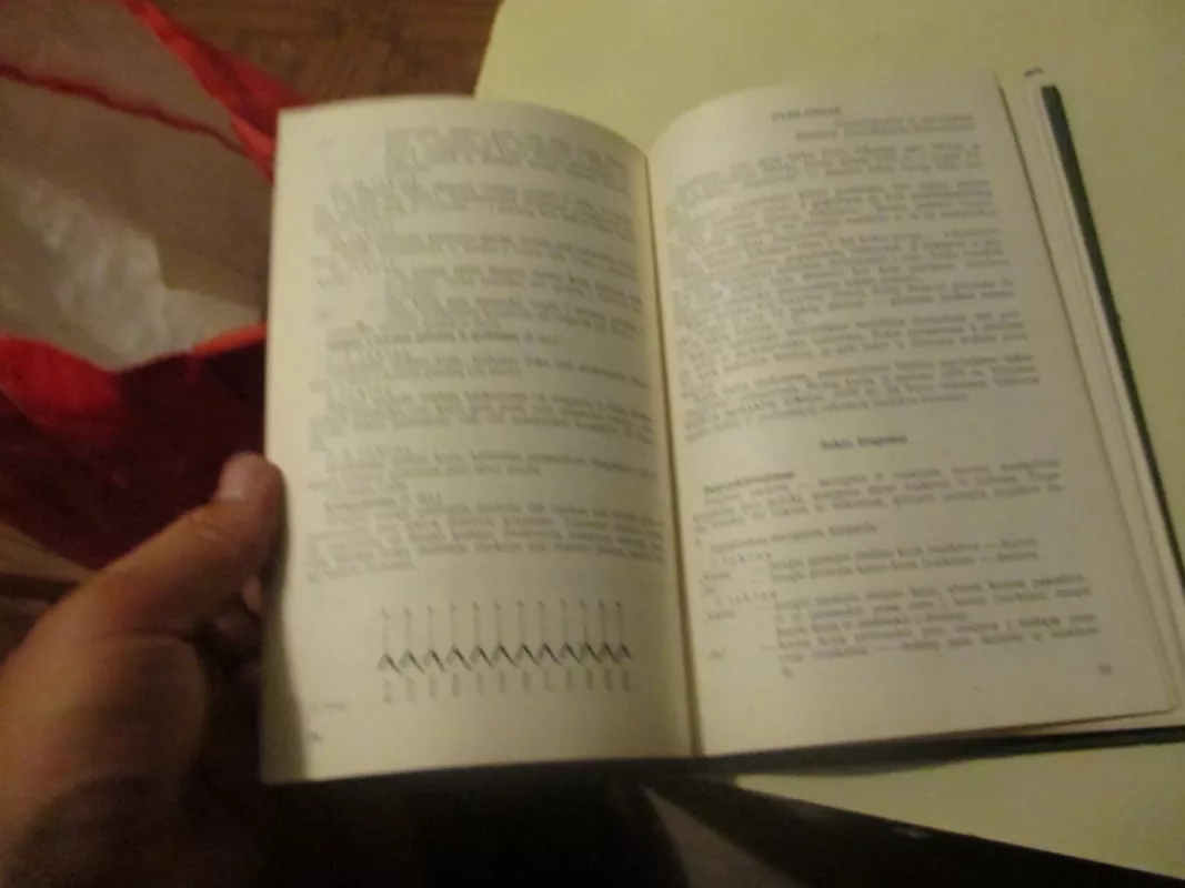 Šokim, trypkim... - Kazys Poškaitis, knyga 5