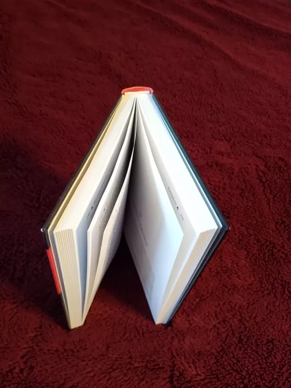 Eretikas - Ricardo Semler, knyga 3