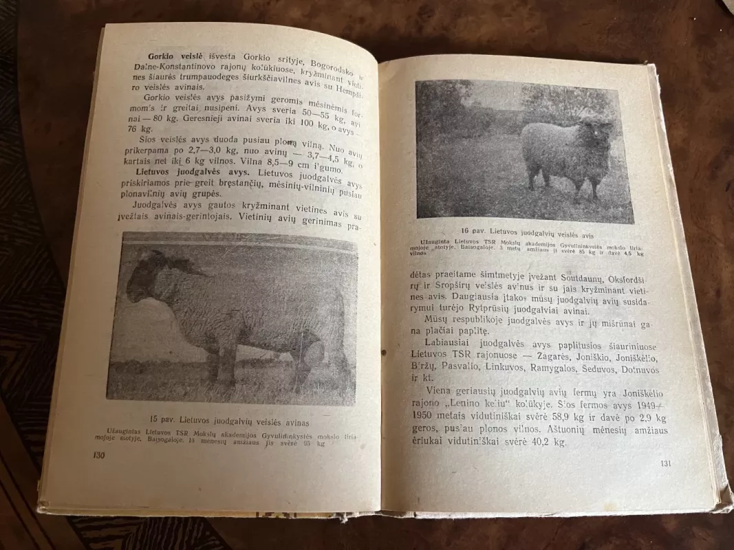 Avininkystė - Autorių Kolektyvas, knyga 3