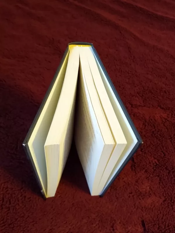 Vieni - Lisa Gardner, knyga 3