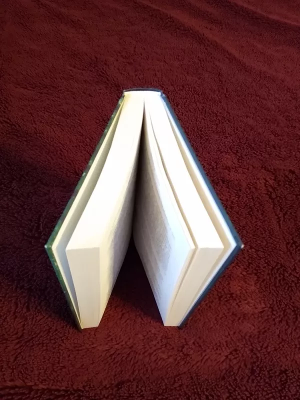 Stebuklinga valanda - Kristin Hannah, knyga 3