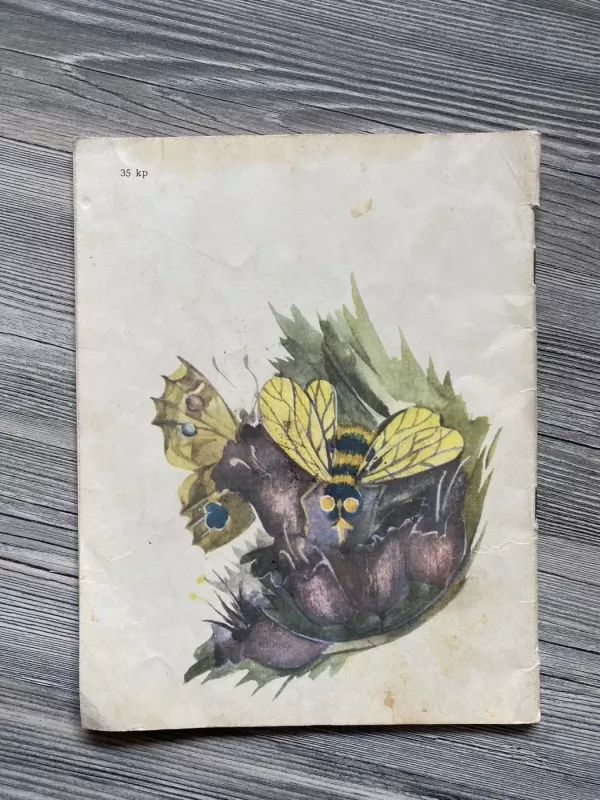 Žiedeliai - Vincas Vitkauskas, knyga 3